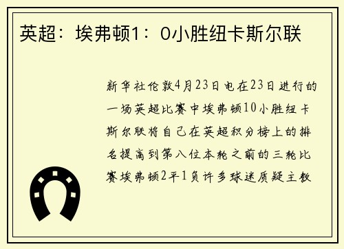 英超：埃弗顿1：0小胜纽卡斯尔联